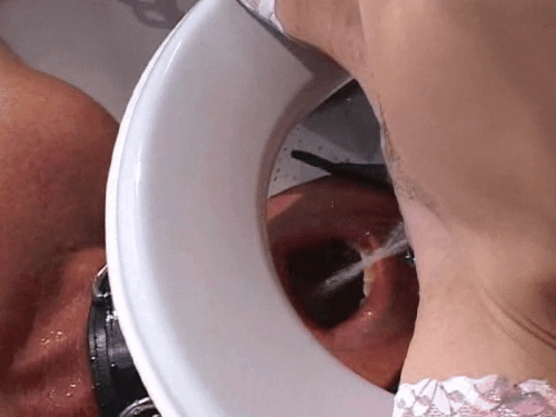 Toilet slave pov